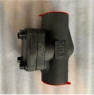 Valvola di ritegno a battente a flangia saldata